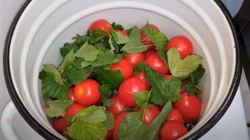 Соленые помидоры в ведре холодным способом. Как засолить помидоры в кастрюле (ведре) на зиму, как бочковые