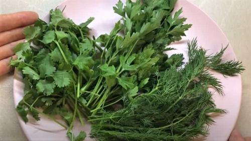 Соленые помидоры в ведре холодным способом. Как засолить помидоры в кастрюле (ведре) на зиму, как бочковые