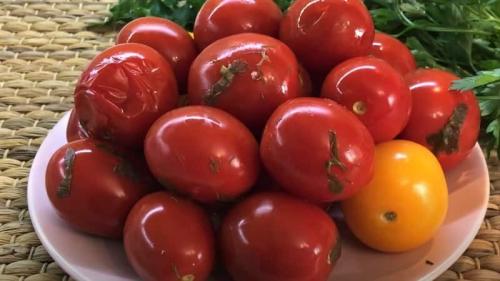 Соленые помидоры в ведре холодным способом. Как засолить помидоры в кастрюле (ведре) на зиму, как бочковые