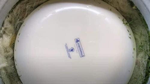 Соленые помидоры в ведре холодным способом. Как засолить помидоры в кастрюле (ведре) на зиму, как бочковые