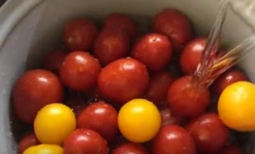 Соленые помидоры в ведре холодным способом. Как засолить помидоры в кастрюле (ведре) на зиму, как бочковые 28