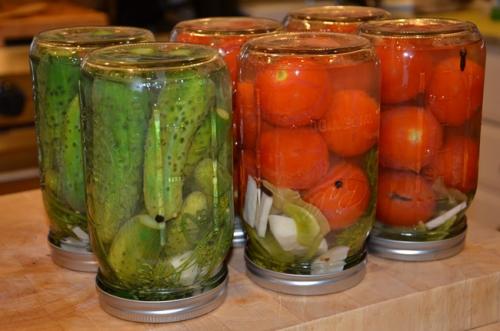 Помидоры без специй на зиму. Вкусные маринованные помидоры на зиму без приправ 33