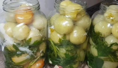 Как солить зеленые помидоры в 3 литровых банках. Маринованные зелёные помидоры на зиму — 12 очень вкусных рецептов, пальчики оближешь
