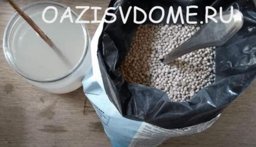 Чем удобрять гортензию в августе и сентябре после цветения. Чем и когда подкормить гортензии перед зимовкой осенью