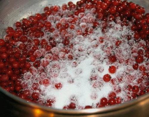 Варенье из смородины с апельсином и лимоном без варки. 28 Варенье из смородины с апельсином и лимоном без варки. 28