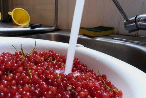 Варенье из смородины с апельсином и лимоном без варки. 26 Варенье из смородины с апельсином и лимоном без варки. 26