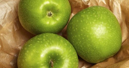 Название яблонь зимних. Всё про зимние сорта яблок