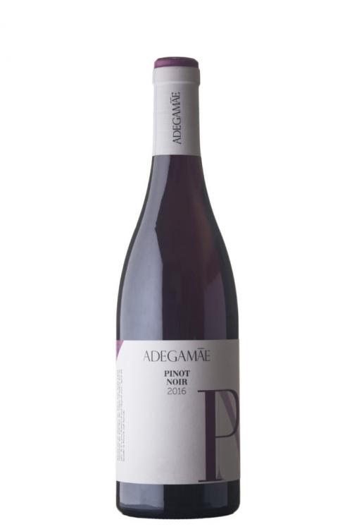 Сорт винограда на а. Лучшие сорта винограда: фото, названия и описания (каталог) 21