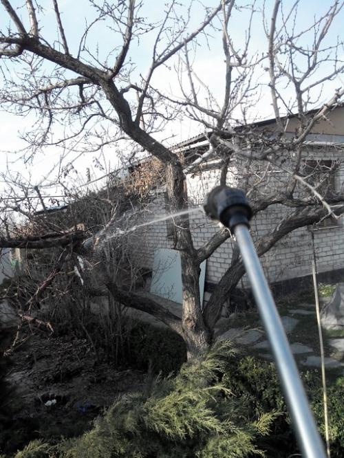 БАКОВЫЕ СМЕСИ для роз. Особенности обработки роз в разное время года 01 БАКОВЫЕ СМЕСИ для роз. Особенности обработки роз в разное время года 01