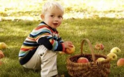 Обработка яблонь осенью. Как должна выполняться обработка яблонь осенью от вредителей и болезней?