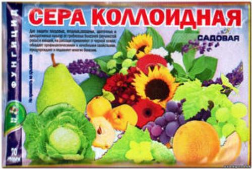 Обработка яблонь осенью. Как должна выполняться обработка яблонь осенью от вредителей и болезней?