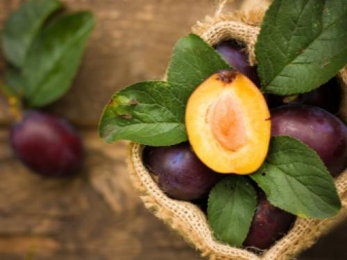 Слива волгоградская описание сорта. Специалисты назвали волгоградцам пять лучших сортов сливы 07