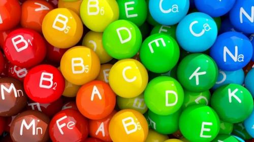 Слива волгоградская описание сорта. Специалисты назвали волгоградцам пять лучших сортов сливы 08