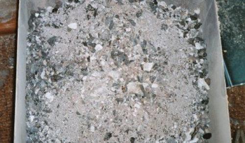 Правила ухода за яблоней осенью и весной. Когда сажать 05