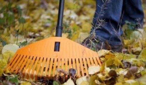 Правила ухода за яблоней осенью и весной. Когда сажать 01