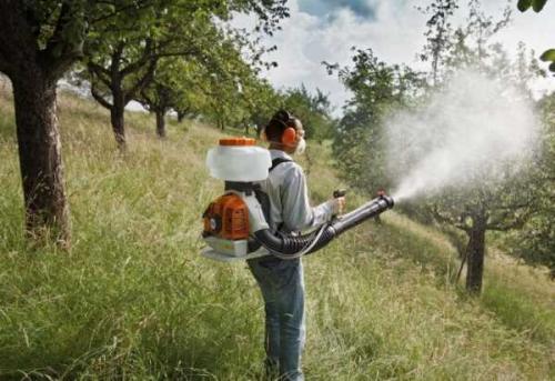 Как ухаживать за яблоней в первый год посадки. Сроки 07 Как ухаживать за яблоней в первый год посадки. Сроки 07