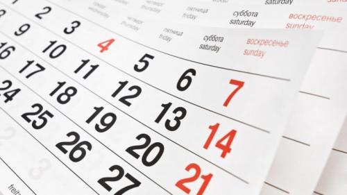 Уход за молодой яблоней. Летний уход 25 Уход за молодой яблоней. Летний уход 25