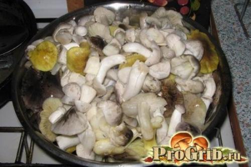 Сколько варить грибы рядовки. Как правильно готовить рядовки: обработка, соление и маринование грибов