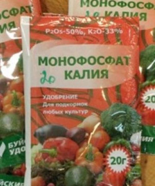 Подкормка яблонь осенью навозом. Чем подкормить груши и яблони после сбора на них урожая осенью