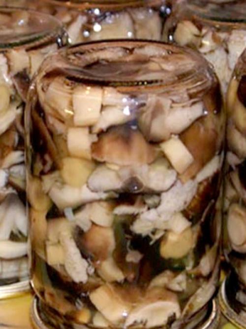 Жареные рядовки на зиму. Лучшие способы заготовки рядовок на зиму