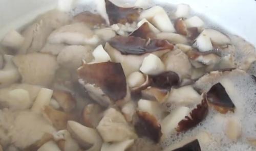 Жареные рядовки на зиму. Лучшие способы заготовки рядовок на зиму