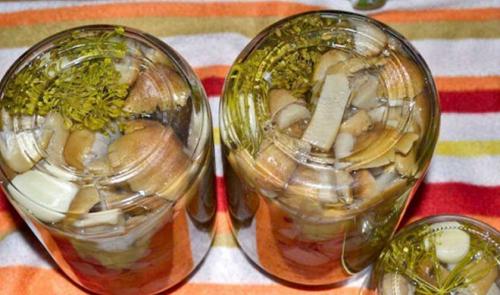 Рядовка тополевая, как готовить. Как солить подтопольники холодным и горячим способом: рецепты классические и экзотические