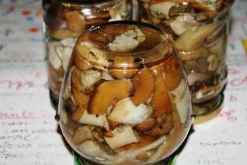 Рядовка тополевая, как готовить. Как солить подтопольники холодным и горячим способом: рецепты классические и экзотические