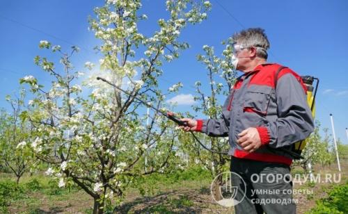Уход за яблоней весной борьба с вредителями. Чем обрабатывать яблони ранней весной от вредителей и болезней