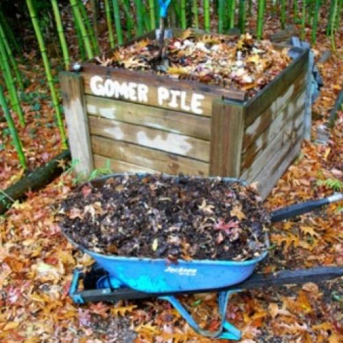 В чем заключается уход за яблоней весной. Уход в весенний период 13 В чем заключается уход за яблоней весной. Уход в весенний период 13