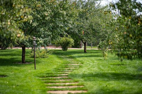 Таблица ухода за садом. Уход за садом