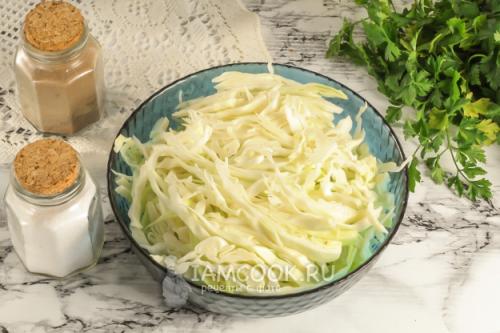 Капуста квашеная без сахара. Вкуснейшие рецепты квашеной капусты без добавления сахара 13