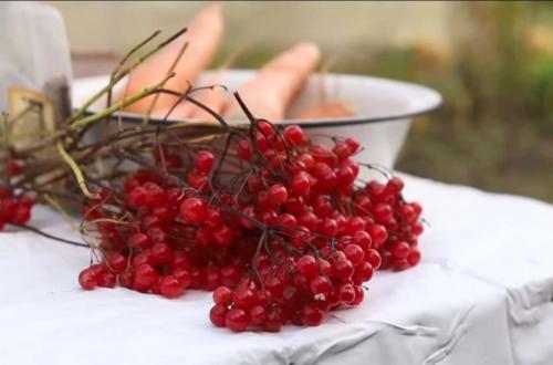 Быстрая квашеная капуста без сахара. Как заквасить капусту без соли и сахара? 2 старинных рецепта: полезно и вкусно!