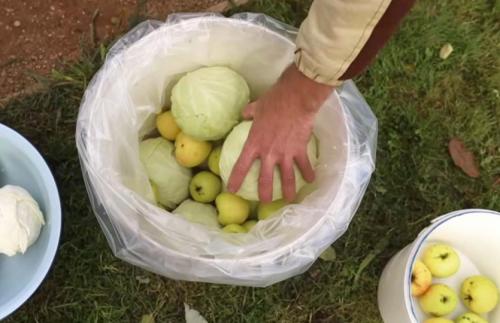 Быстрая квашеная капуста без сахара. Как заквасить капусту без соли и сахара? 2 старинных рецепта: полезно и вкусно!