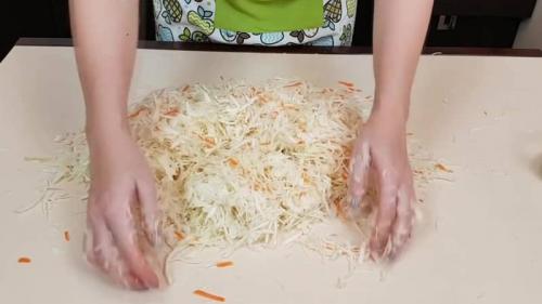 Капуста квашеная без сахара. Вкуснейшие рецепты квашеной капусты без добавления сахара