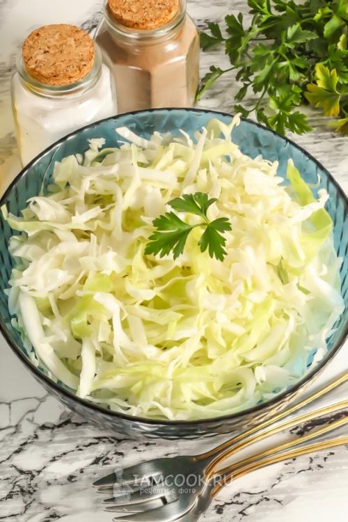 Капуста квашеная без сахара. Вкуснейшие рецепты квашеной капусты без добавления сахара 16