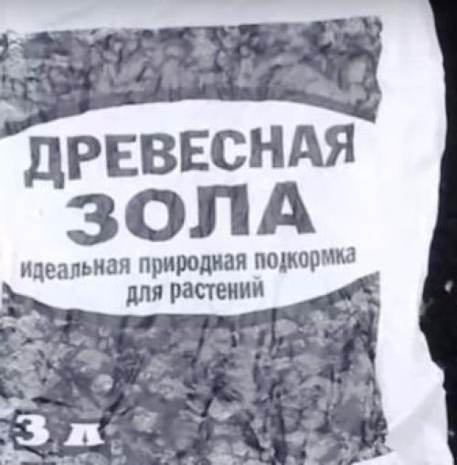 Как ухаживать за яблонями после зимы ранней весной. Уход за яблонями после зимы ранней весной