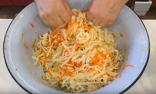 Квашеная капуста в рассоле в ведре. Хрустящая квашеная капуста — классические рецепты на зиму