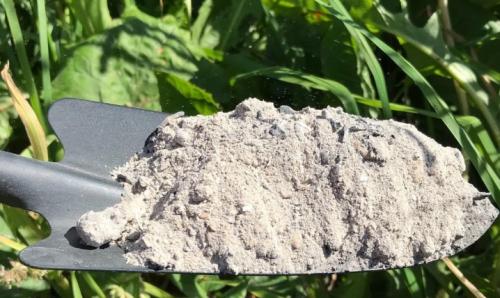 Как обрезать колонновидную яблоню осенью и весной. Как правильно обрезать? 15