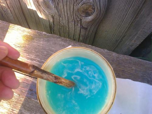 Уход за старой яблоней весной. Уход за деревом после омолаживающей обрезки