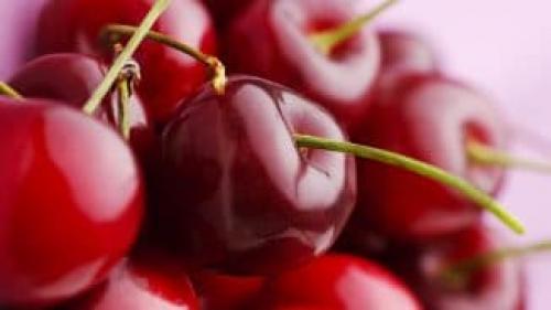 Лучшие сорта вишни для юга россии. 16 самоплодных сортов вишен