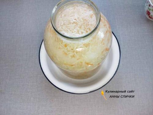 Квашеная капуста за 3 дня без уксуса. Квашеная капуста в рассоле за 3 дня