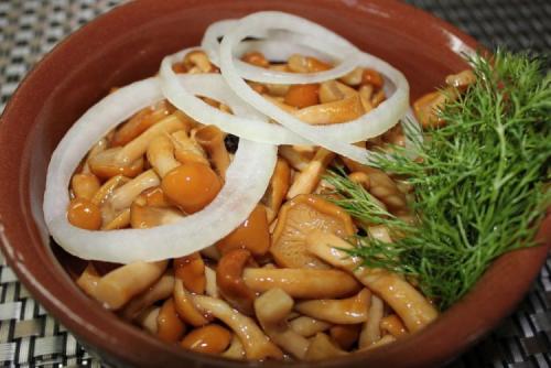 Какие блюда Можно приготовить из замороженных опят. 20 простых и вкусных блюд с опятами