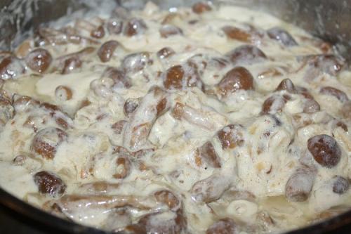 Какие блюда Можно приготовить из замороженных опят. 20 простых и вкусных блюд с опятами