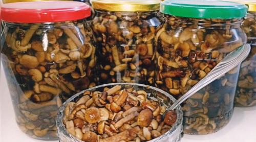 Маринованные опята на зиму – 11 самых вкусных рецептов приготовления