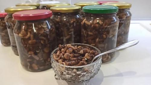 Маринованные опята на зиму – 11 самых вкусных рецептов приготовления