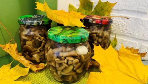 Маринованные опята на зиму – 11 самых вкусных рецептов приготовления