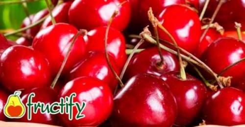 Как отличить зрелые фрукты сорта вишни Студенческая от незрелых. Выбираем 5 лучших сортов с ранним плодоношением