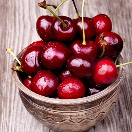 Как хранить фрукты сорта вишни Студенческая. Способы хранения вишни