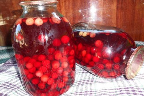 Какие блюда можно приготовить из фруктов сорта вишни Студенческая. 20 простых и вкусных рецептов из вишни