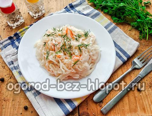 Квашеная капуста за сутки без уксуса. Быстрая квашеная капуста в банке